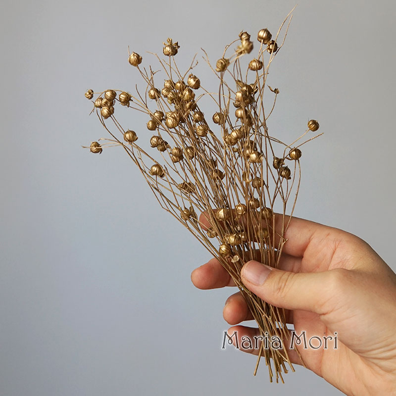 5g/保存された亜麻豆 天然の本物の花 カラフルなドライフラ - Holiday Candle Set のレビューと価格